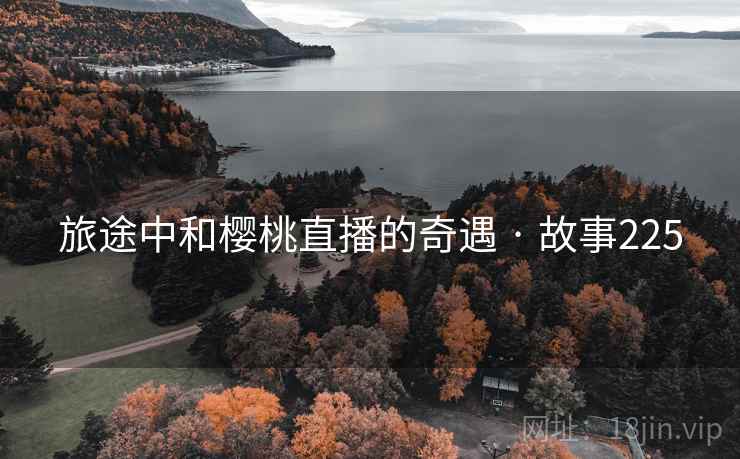 旅途中和樱桃直播的奇遇 · 故事225  第1张